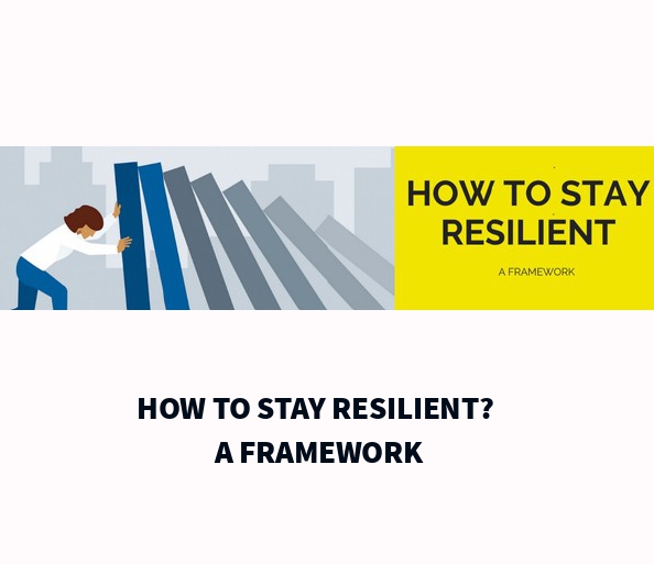 HOW TO STAY RESILIENT? A FRAMEWORK